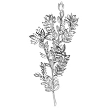 //ca.davines.com/cdn/shop/t/14/assets/davines-line-finest-pigment-deco-4.jpg?v=26652696539408005481625812574