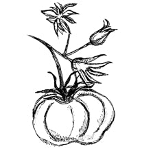 //ca.davines.com/cdn/shop/t/14/assets/davines-line-finest-pigment-deco-2.jpg?v=79889010406983862501625812573